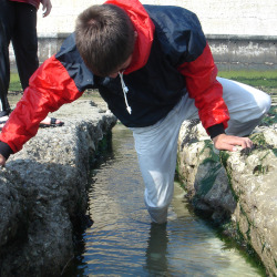 lifeguard work experience swimming in clothes