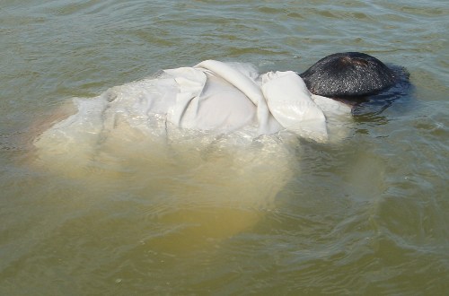 Click for next image image